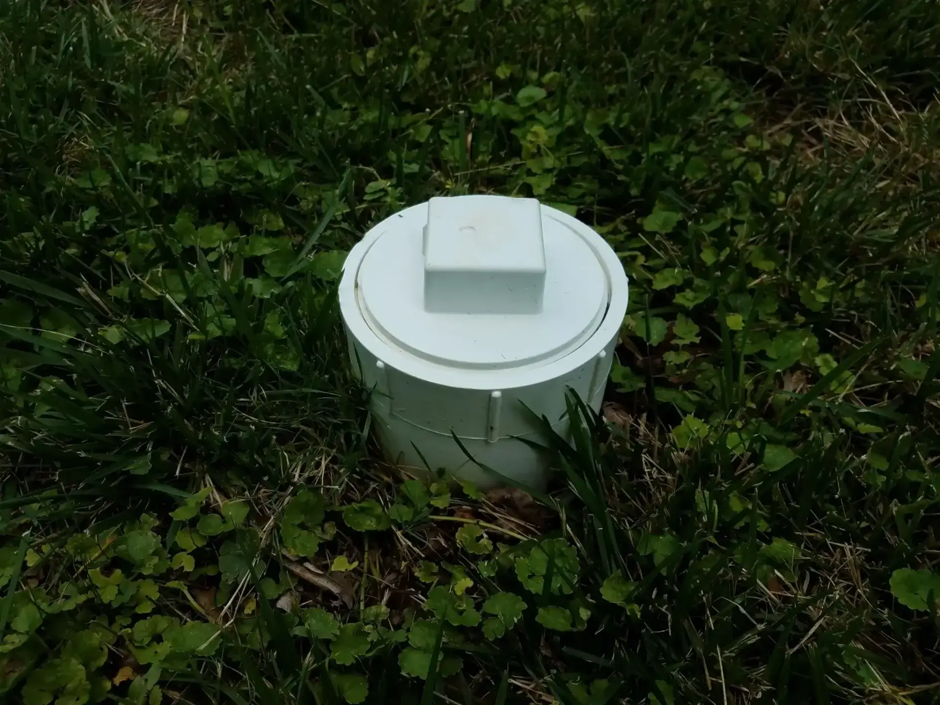 White bucket with a handle lid on grass surrounded by leaves.